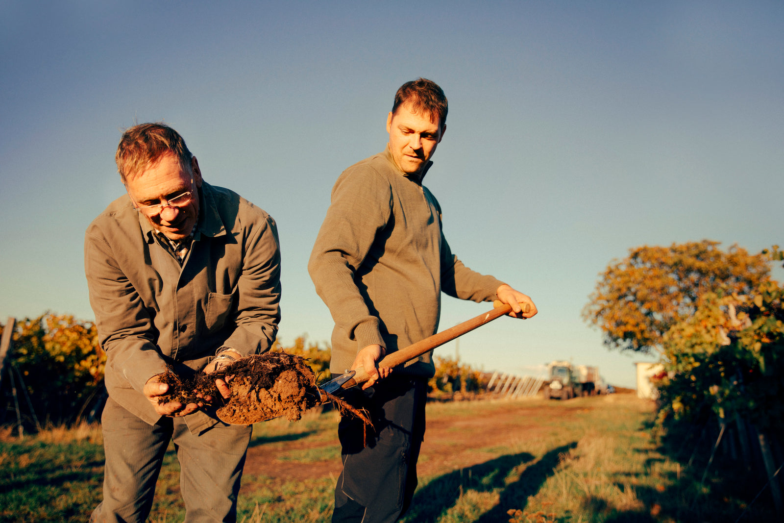 Wendelin und Johannes Lorenz mit Humus im Weinberg