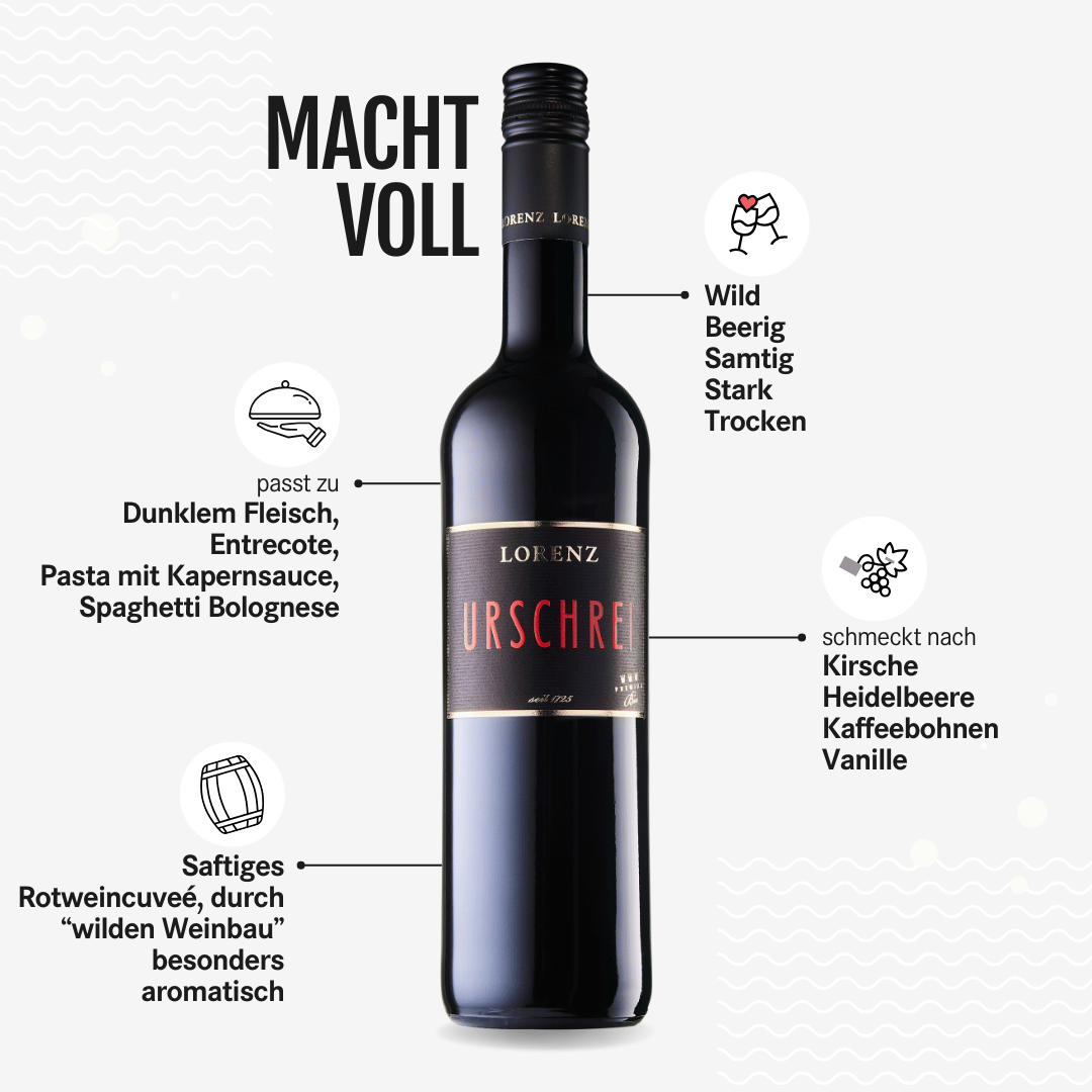 Bioweingut Lorenz Urschrei Cuveé Rotwein Bioland zertifiziert Flasche vor weißem Hintergrund