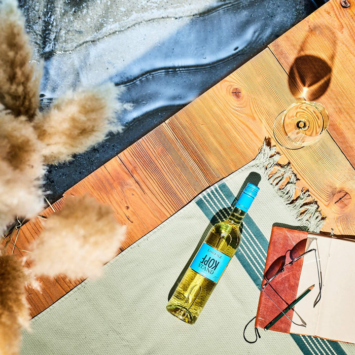 Lorenz Sommerwein Genuss am Wasser zum chillen mit Buch und Biowein vom Bio Weingut